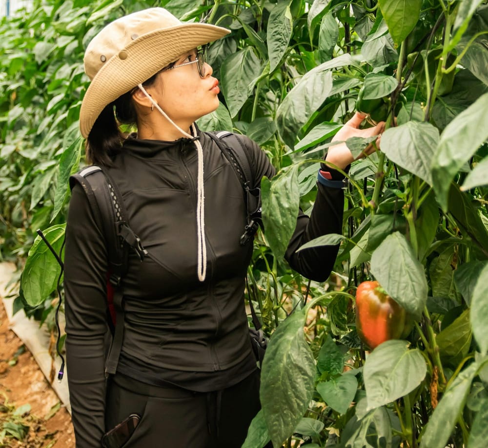 Sustainability | News post feature image
