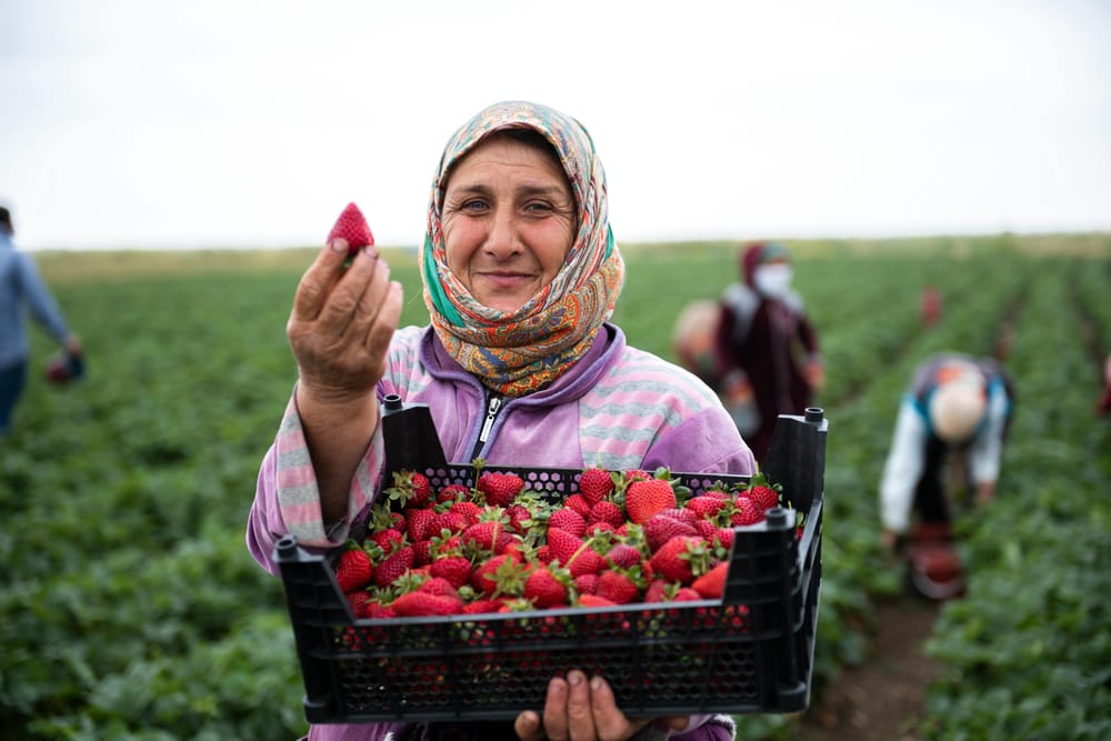 Research reveals why women-led farms are more sustainabl post image